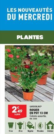 LES NOUVEAUTÉS DU MERCREDI  13cm  PLANTES  249  la plat  28cm  GARDENLINE ROSIER EN POT 13 CM Coloris assortis. At 5509  Regele Mbret  