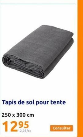 tapis de sol 