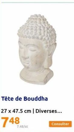 Tête de Bouddha  27 x 47.5 cm | Diverses...  748  7.48/st 