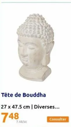 tête de bouddha  27 x 47.5 cm | diverses...  748  7.48/st 