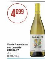 Vin de France blanc sec L'envolée CAU-HA-PE 75cl Le litre 6665  CAU-MA-PE  LEVOL 