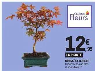 quartier  fleurs  12€  12,95  la plante bonsaï extérieur différentes variétés disponibles. 