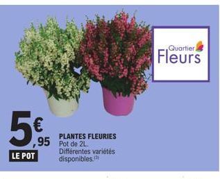 5€  ,95  LE POT  PLANTES FLEURIES Pot de 2L.  Différentes variétés disponibles.  Quartier,  Fleurs 