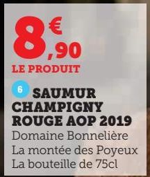 SAUMUR CHAMPIGNY ROUGE AOP 2019