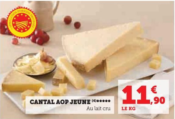 CANTAL AOP JEUNE