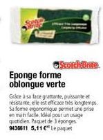 éponge 