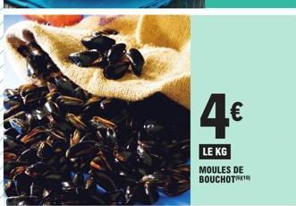 moules 