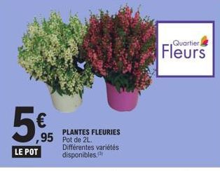 5€  ,95  LE POT  PLANTES FLEURIES Pot de 2L.  Différentes variétés disponibles.  Quartier  Fleurs 