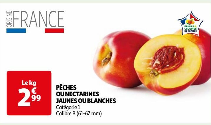 PÊCHES OU NECTARINES JAUNES OU BLANCHES