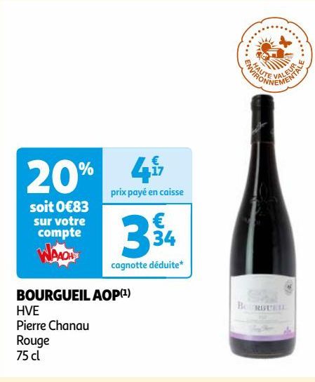 BOURGUEIL AOP(1)