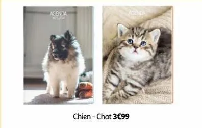 agenda auchan chien - chat