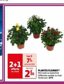 2+1  offerte  au choix  les 3  750  soltthielthl  2%  plantes fleuries mini rosier au kalanchoë différentes variétés au choix vendu seul: 3€75 