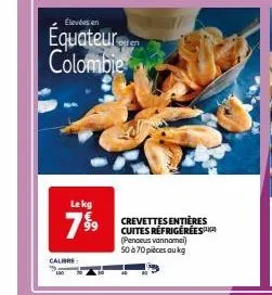 élevées en  equateur colombie  lekg  7⁹⁹9  calibre  crevettes entières cuites réfrigérées (penaeus vannamei) 50 à 70 pièces au kg 