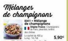 mélange de champignons 