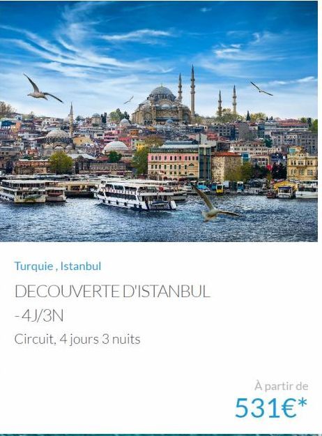 volu  Turquie, Istanbul  DECOUVERTE D'ISTANBUL  -4J/3N  Circuit, 4 jours 3 nuits  EN UN RE TER FO  À partir de  531€* 