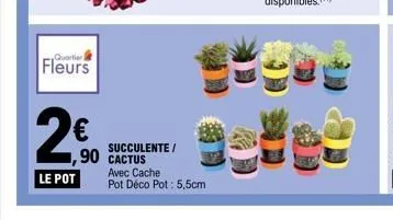 quartier  fleurs  2€0  le pot  succulente/ 90 cactus avec cache  pot déco pot: 5,5cm 