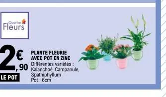 fleurs  le pot  spathiphyllum pot: 6cm  plante fleurie avec pot en zinc différentes variétés:  90 kalanchoé, campanule, 
