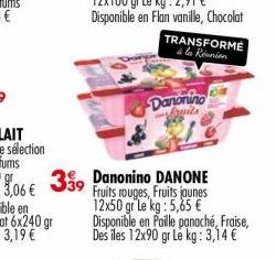339  TRANSFORME à la Réunion  Danonino fruits 
