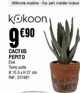 Cactus pepito