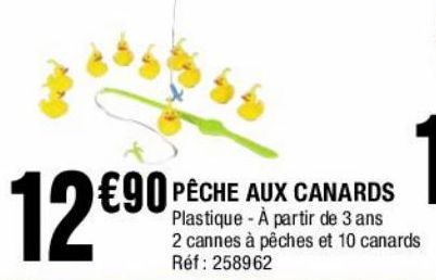 Peche aux canards