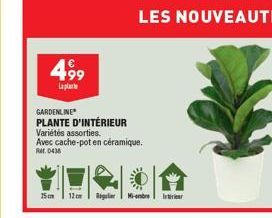 499  Laplarbe  GARDENLINE  PLANTE D'INTÉRIEUR  Variétés assorties.  Avec cache-pot en céramique.  Ref. 0438  15cm 12cm Regler  Mi- Interie 