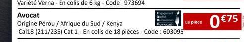 Avocat  Origine Pérou / Afrique du Sud / Kenya  Cal18 (211/235) Cat 1 - En colis de 18 pièces - Code : 603095  La pièce 0€75 