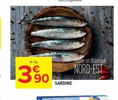 le kg  1390  sardine  pechee en atlantique  nord-est 