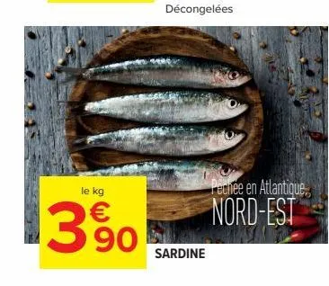 le kg  1390  sardine  pechee en atlantique  nord-est 