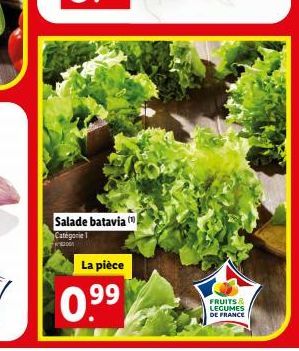 salade 