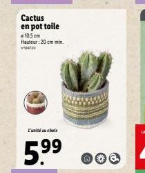 Cactus en pot toile  a 10,5 cm Hauteur : 20 cm min. 470  L'unité au choix  5.9⁹⁹  99  W 