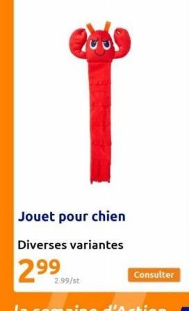 Que  Jouet pour chien  Diverses variantes  2⁹9⁹  2.99/st 