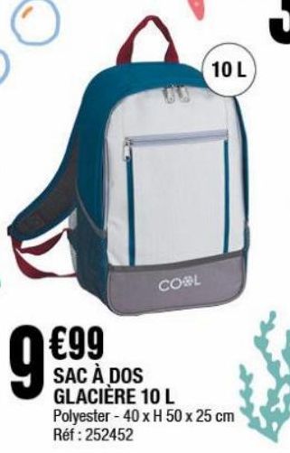 Sac à dos glacière 10L