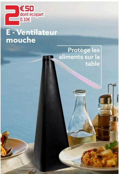 Ventilateur mouche