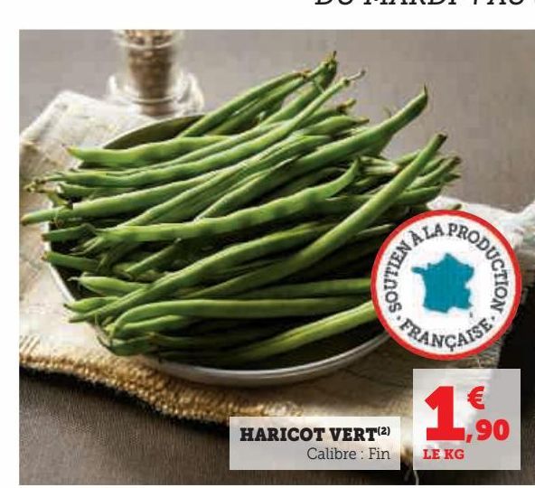 HARICOT VERT