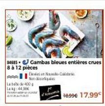 gambas 