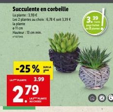 -25%  LAT PLANTE 3.99  2.79  Succulente en corbeille  La plante: 3,99 €  Les 2 plantes au choix: 6,78 € soit 3,39 €  la plante  all cm Hauteur: 13 cm min. ²0734  SUR LA  LA PLANTE AUCHOEX  3.39  pourt