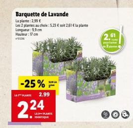 -25% 2  LA PLANTE 2.99  224  Barquette de Lavande  La plante: 2,99 €  Les 2 plantes au choix: 5,23 € soit 2,61 € la plante Longueur : 9,9 cm Hauteur: 17 cm  24  LA PLANTE  SURIA  2.61  de 2 pla 