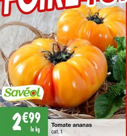 tomates