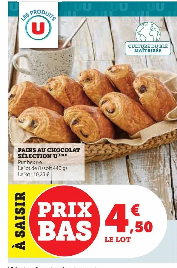 pains au chocolat sélection u