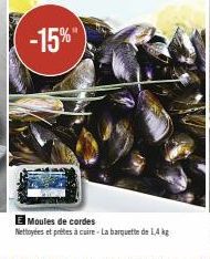 moules 