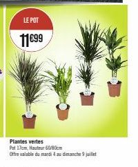 LE POT  11€99  Plantes vertes  Pat 17cm, Hauteur 60/80cm  Offre valable du mardi 4 au dimanche 9 juillet 
