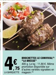 brochettes 