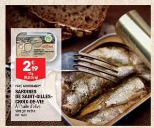 sardines 