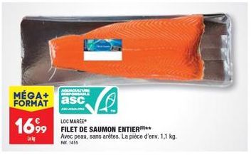 saumon Loc Marée