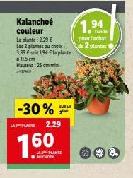 plantes 