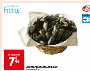 moules 