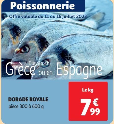 DORADE ROYALE