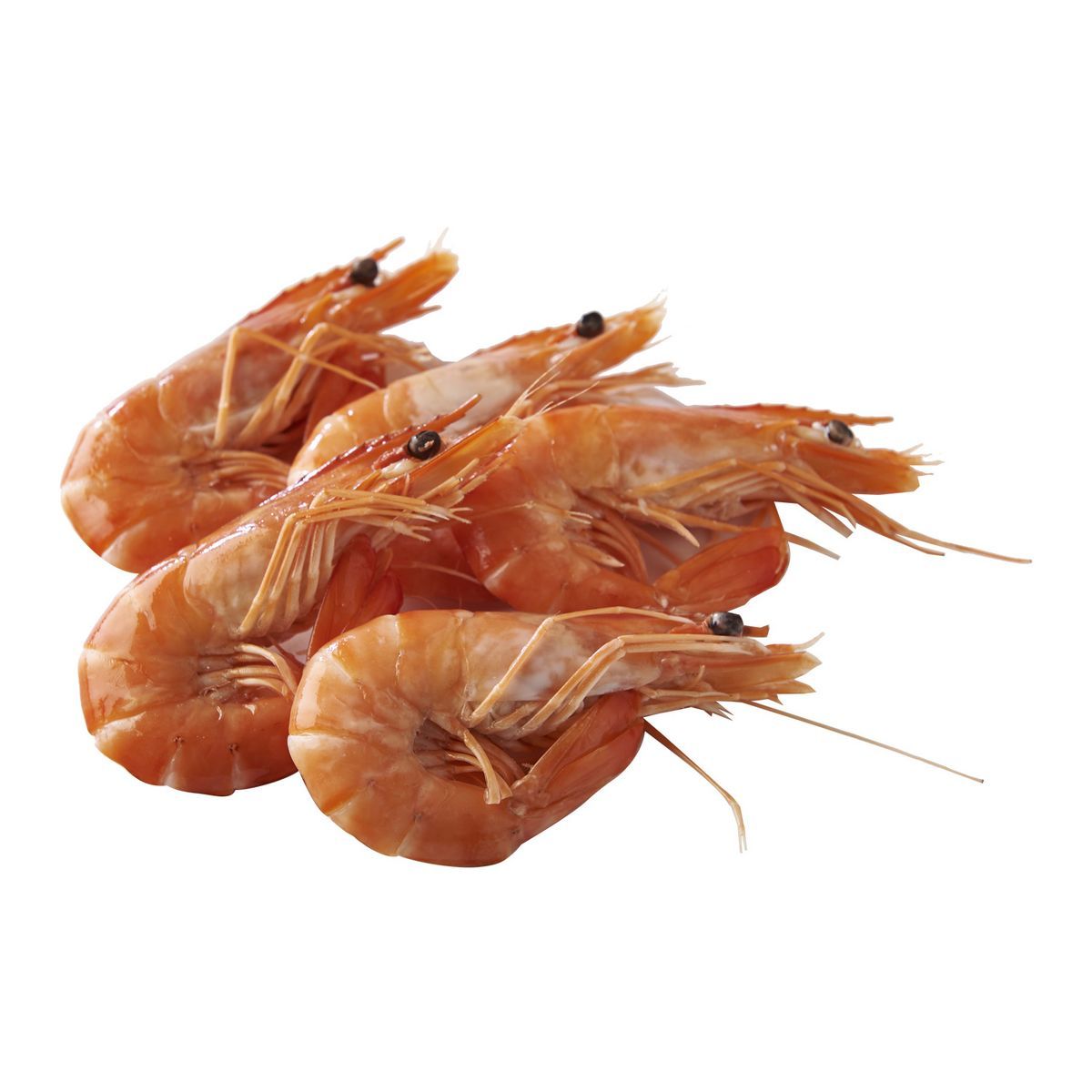 CREVETTES ENTIÈRES CUITES RÉFRIGÉRÉES