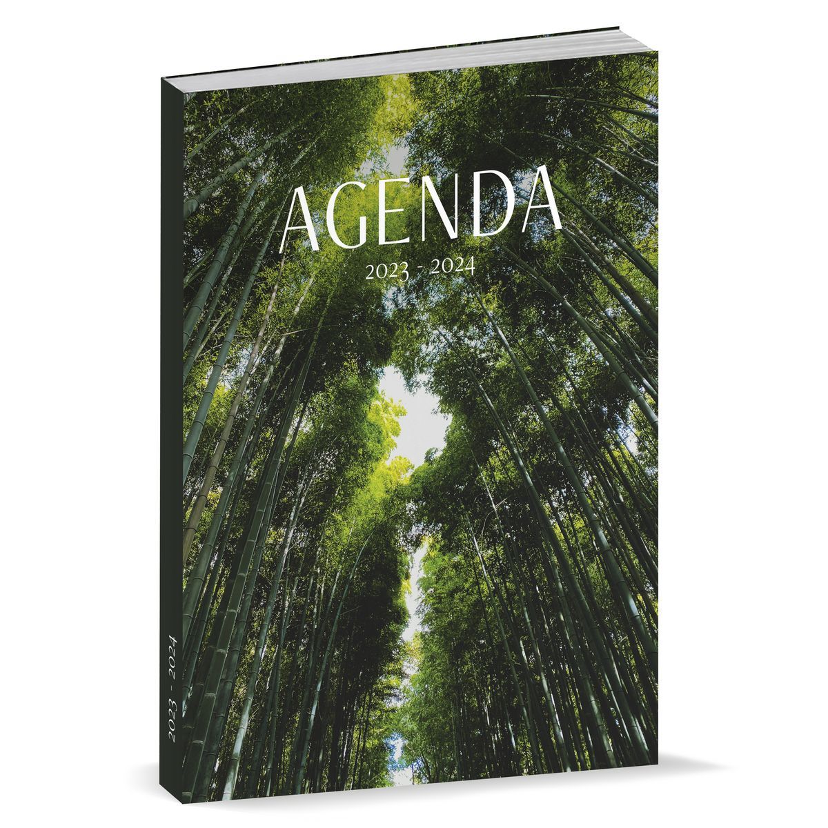 AGENDA LYCEEN FANTAISIE