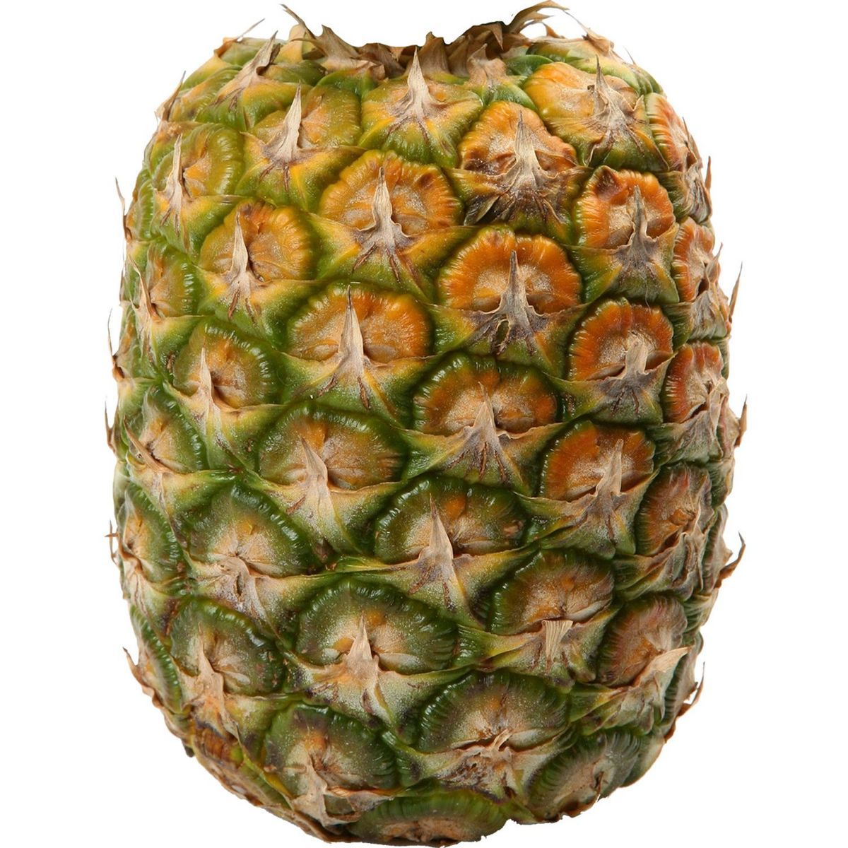 ANANAS SANS COURONNE